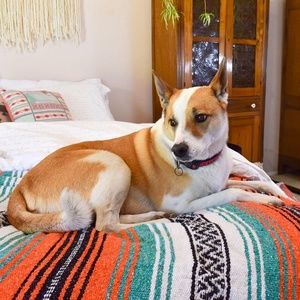 Bedding - Mexican Blanket / Rip Tide Boho Blanket Bedding - Mexican Blanket / Rip Tide Boho Blanket